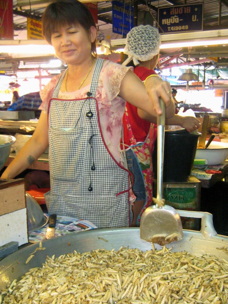 Que tal un gusano de seda recién frito en Chiang Mai, Tailandía?